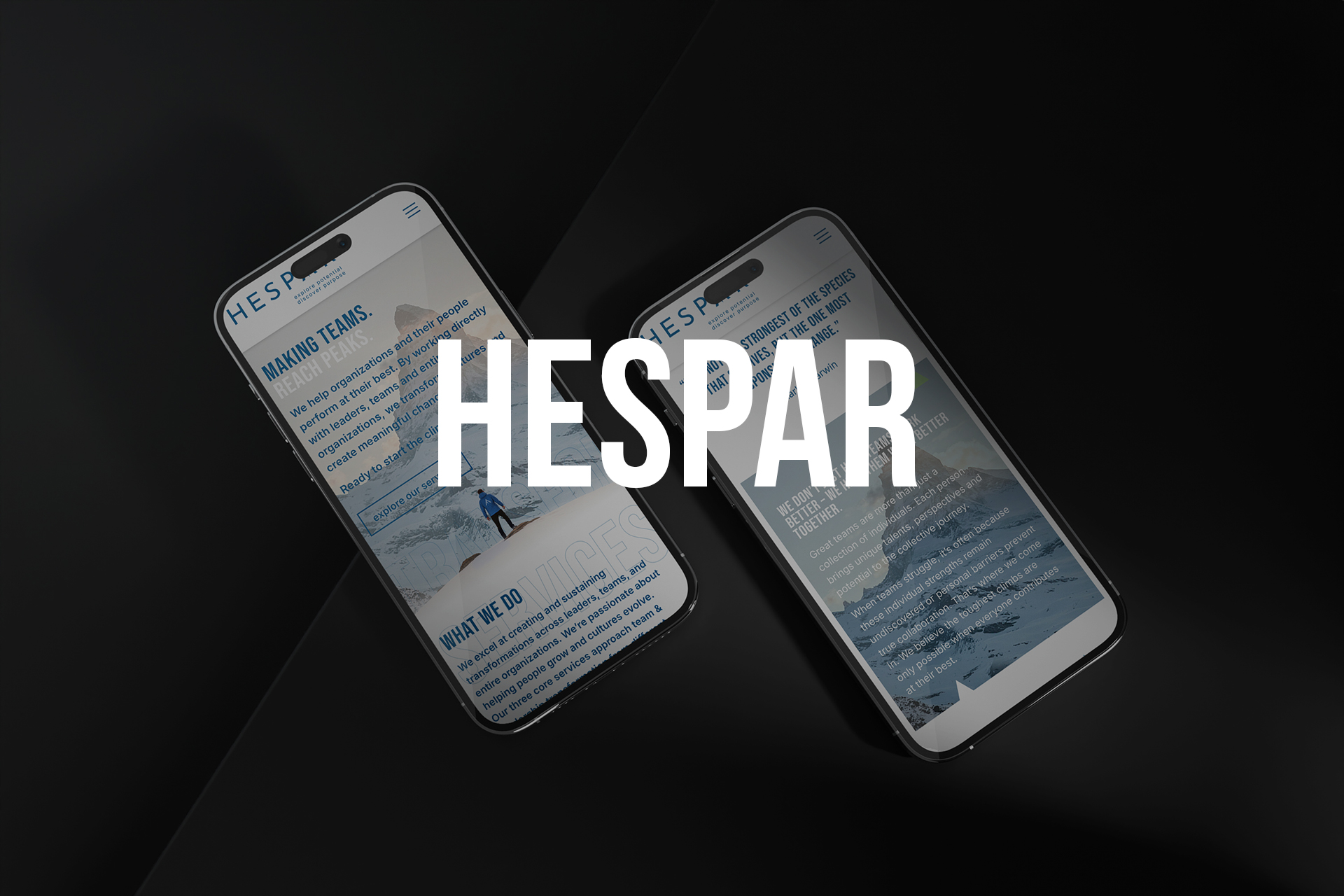 Website-laten-maken-voor-Hespar